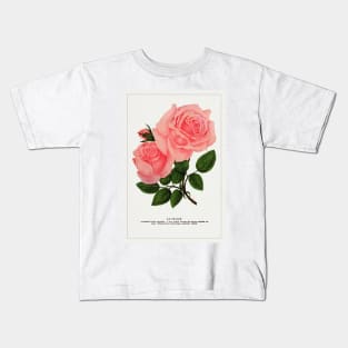 Pink rose, La France Lithograph (1900) Kids T-Shirt